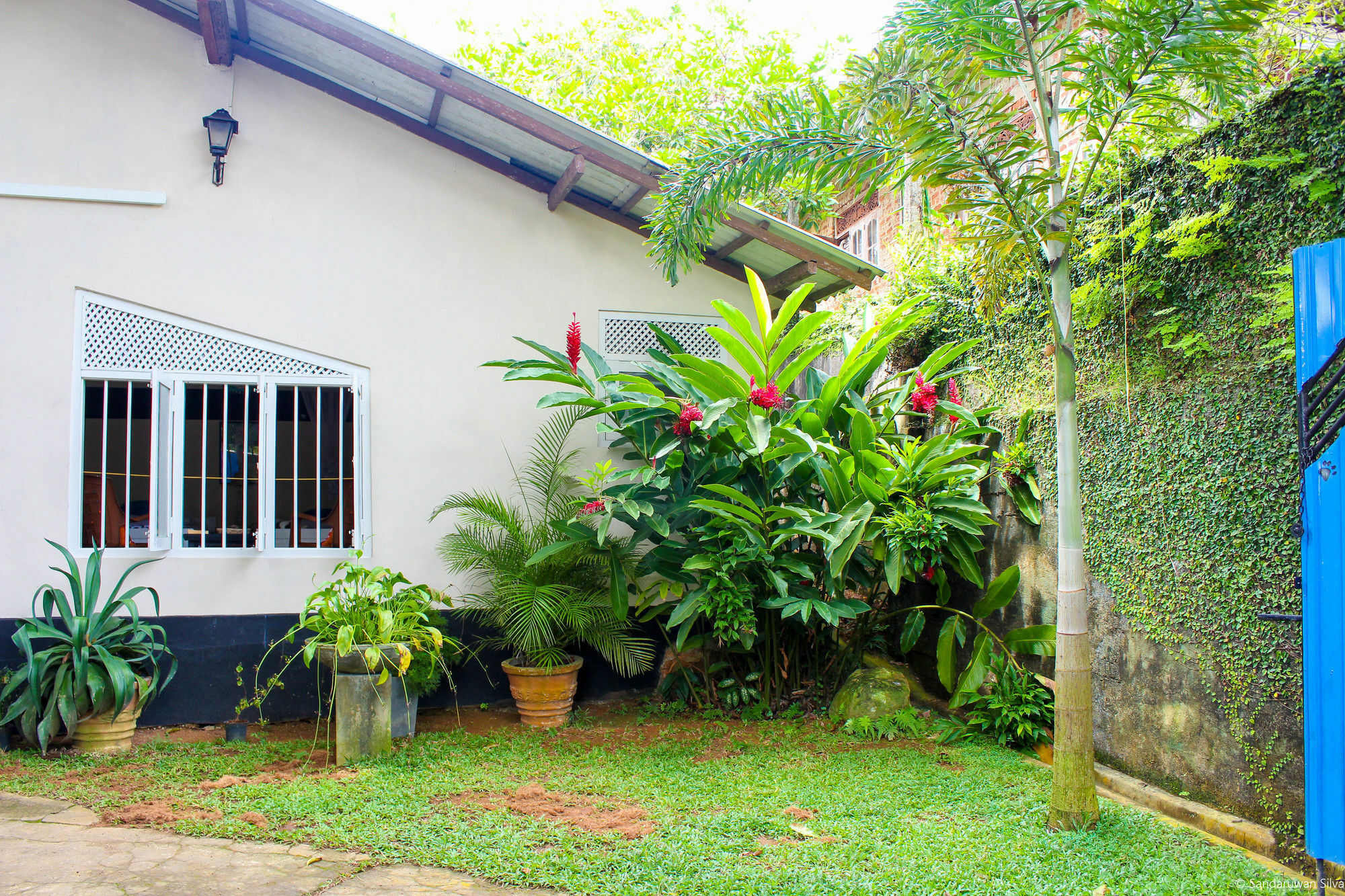 Anne'S Maisonnette Galle Esterno foto